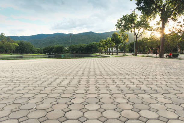 Best Interlocking Driveway Pavers  in Lake Secession, SC